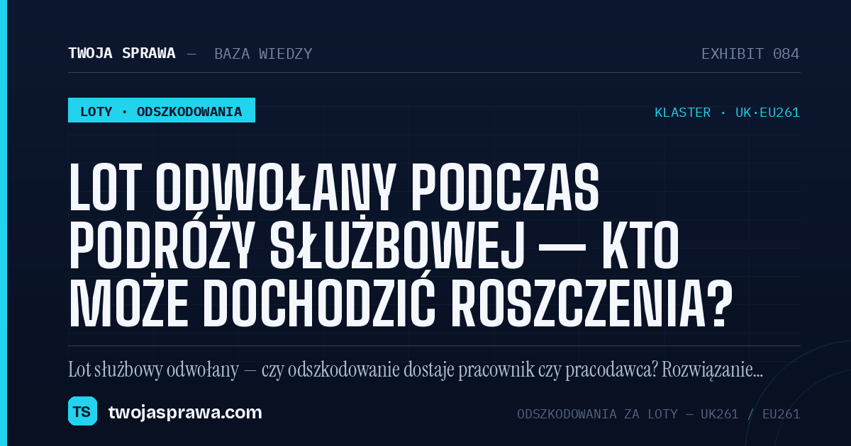 Lot odwołany podczas podróży służbowej — kto może dochodzić roszczenia? — infografika | Twoja Sprawa
