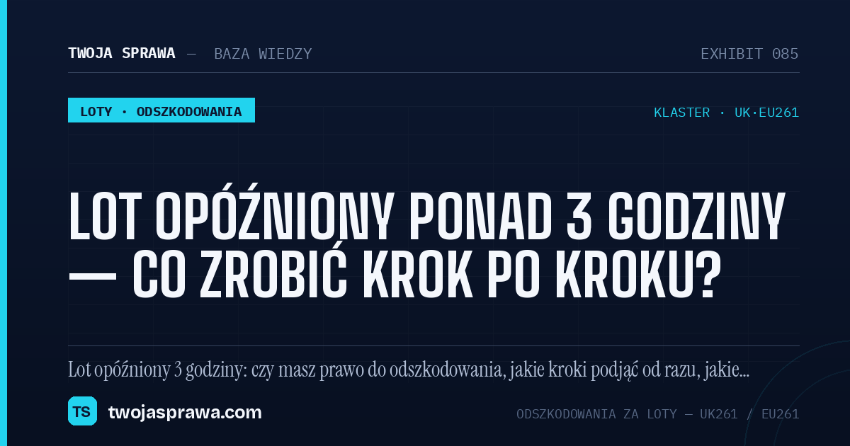 Lot opóźniony ponad 3 godziny — co zrobić krok po kroku? — infografika | Twoja Sprawa