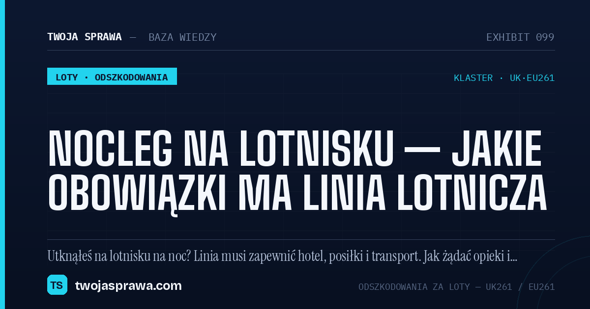 Nocleg na lotnisku — jakie obowiązki ma linia lotnicza — infografika | Twoja Sprawa
