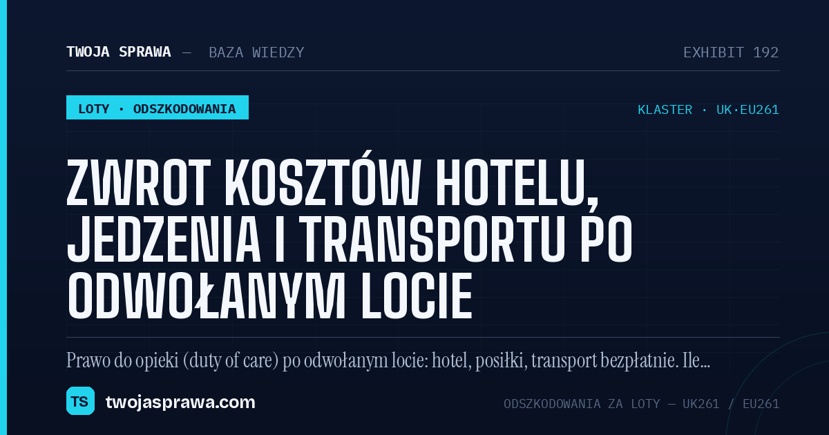 Zwrot kosztów hotelu, jedzenia i transportu po odwołanym locie — infografika | Twoja Sprawa